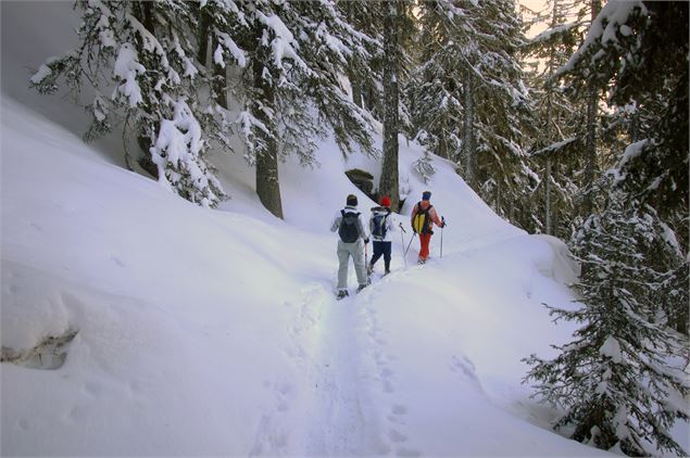 Randonnée en raquettes dans la forêt - Anne Marmottan