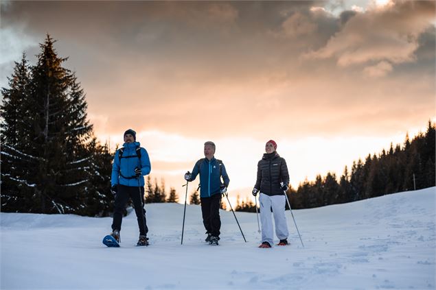 Sentiers raquettes au Grand-Bornand 32 : Sur Frêtes - Hudry - Aravis