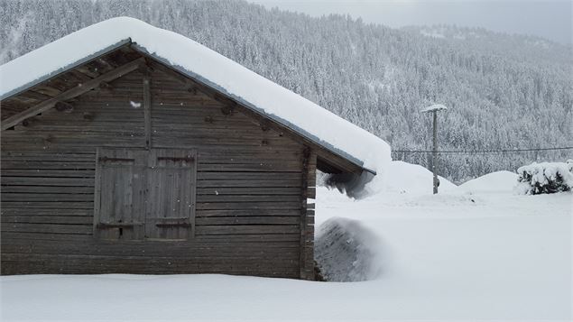 Sentiers raquettes 19 - La vallée du Bouchet - csardin - Le Grand-Bornand