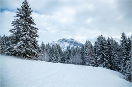 le criou enneigé - OT Samoens - Mathilda Manzi