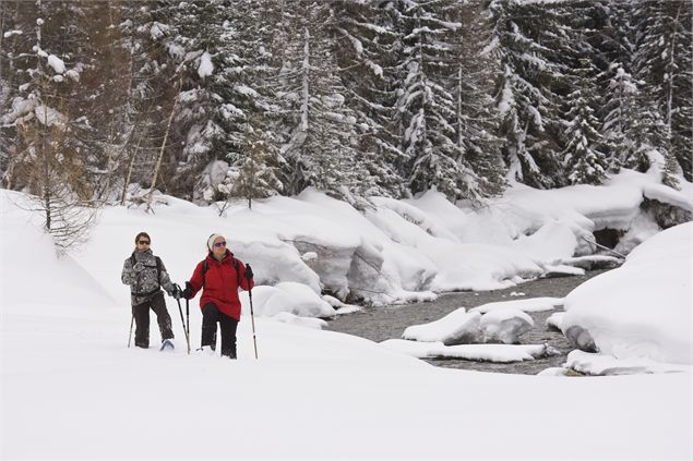 Sentiers piéton hiver de Champagny-le-Haut - C.Tatin