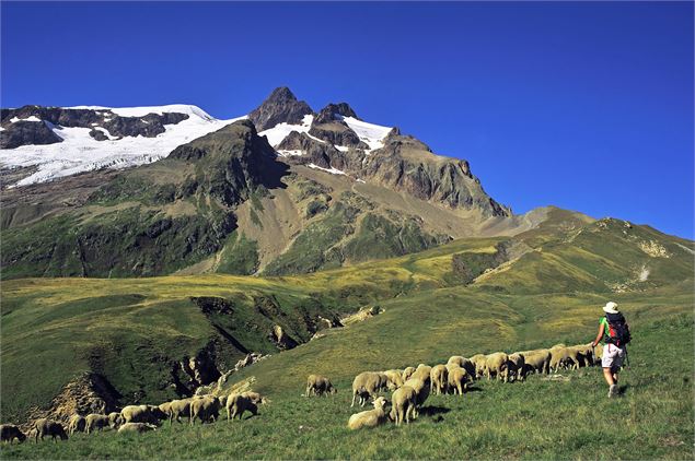 Col de la Seigne - Philippe Royer