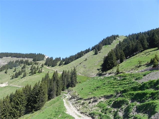 La Pointe de Recon - florechablais.fr