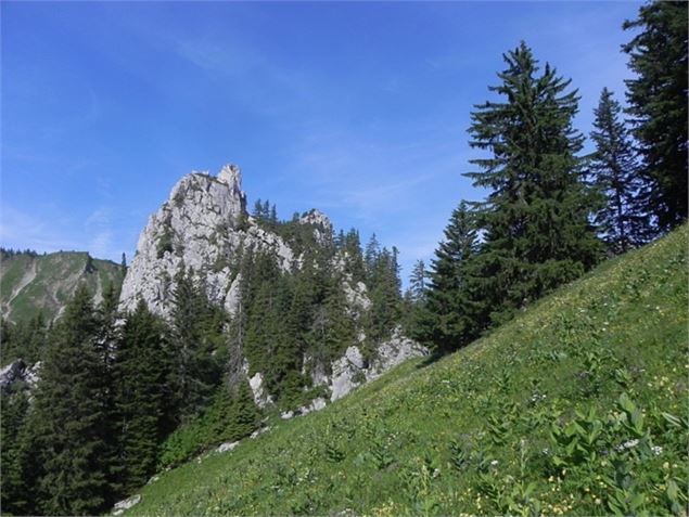 Le Col de Savalène - Florechablais.fr