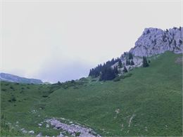 Le Col de Resse - florechablais.fr