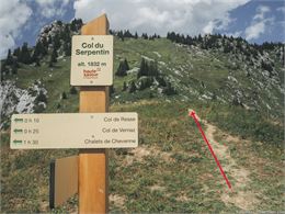 Le Col du Serpentin - Randos-MontBlanc.com