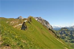 Le Col de Pavis - camptocamp.org