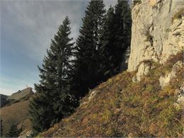 Le Col du Séchet - florechablais.fr