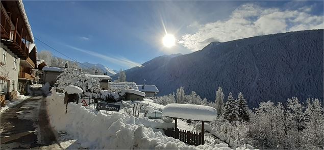 Le Noyerai sous la neige - Catherine Iran