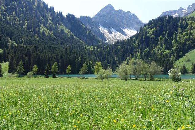 Vue de la Pointe de la Chavache depuis le lac des Plagnes - C.Pierron