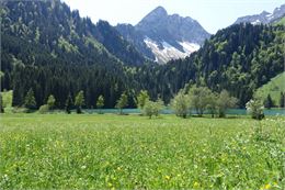 Vue de la Pointe de la Chavache depuis le lac des Plagnes - C.Pierron