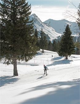 Ski de fond au Pléney-Chavannes_Morzine - Morzineofficiel