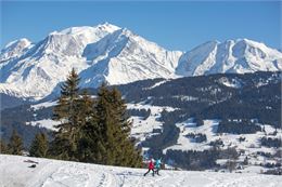 raquettes face au mont blanc - Soren Rickards