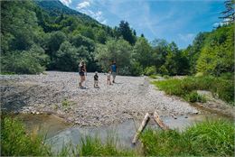 Géosite "Forêt ivre" RTM du Brevon - SIAC - Photographe A. BERGER