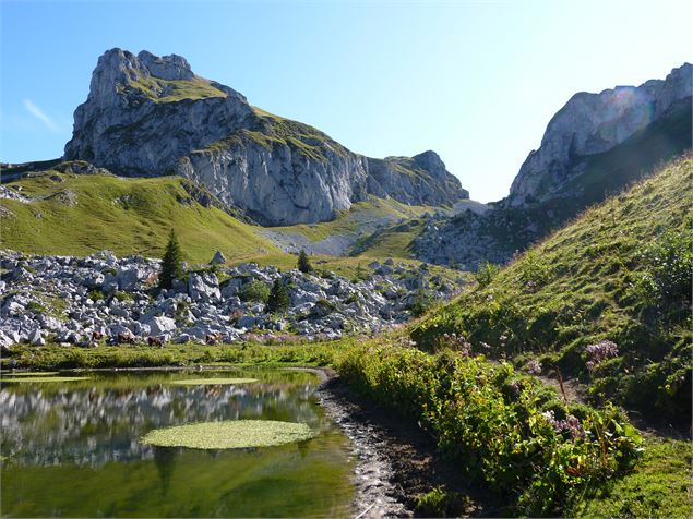 vue sur le Châteu d'Oche depuis le lac de la case