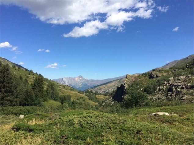 Le pré abandonné