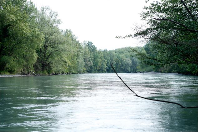 Les bords de l'Arve - Annemasse Agglo - www.stephanecouchet.com