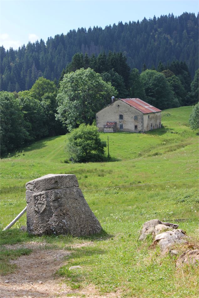 Borne au lion - OT Terre Valserine