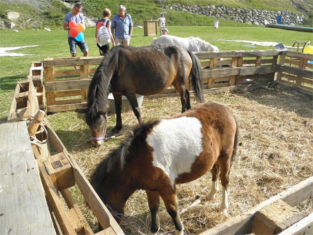 Ferme équestre pédagogique du Bouc Blanc