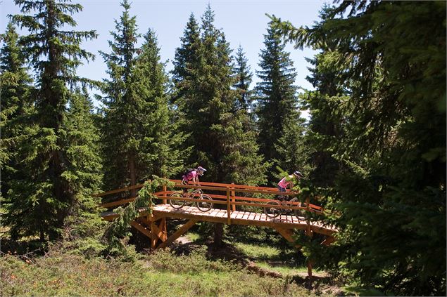 DH VTT Dré dans l'pentu - N. Joly