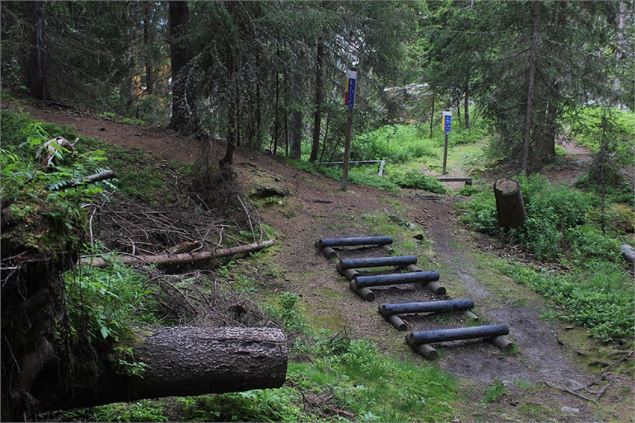 Parcours vita de Charançon