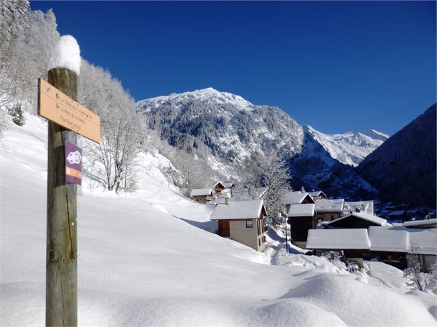 raquettes, piéton - OT Champagny