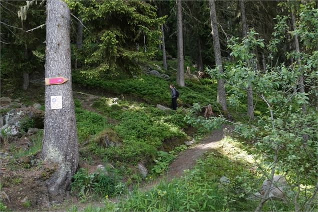 Clambin - verbier.ch