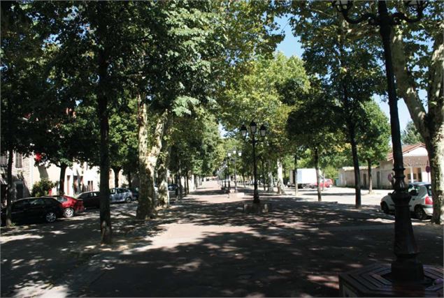 Promenade des Tilleuls