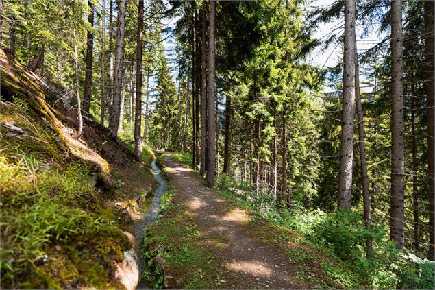 Bisse des Ravines - Verbier Tourisme // Raphaël Surmont