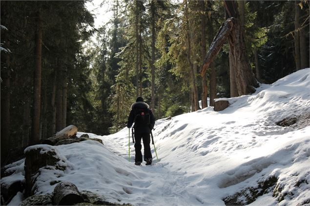 Bisse des Ravines - Verbier Tourisme