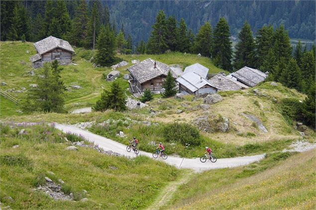 Les Shlérondes - Verbier Promotion