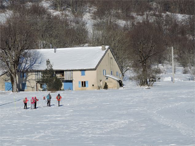 Randonneurs en raquettes - Bugey Sud Grand Colombier