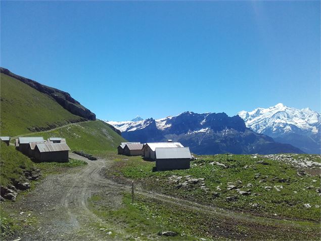 Vue depuis l'alpage - CAMT