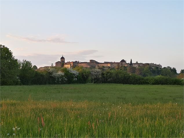 Vue de Pérouges depuis le sentier de la Côtière - S.Megani