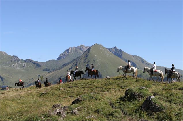 Centre équestre La Grande Ourse - La Grande Ourse