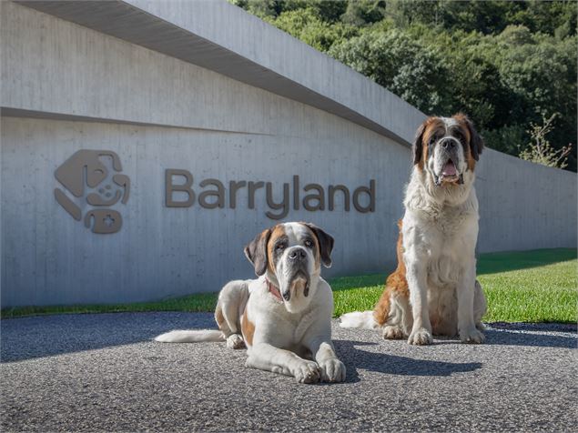 Barryland_Martigny