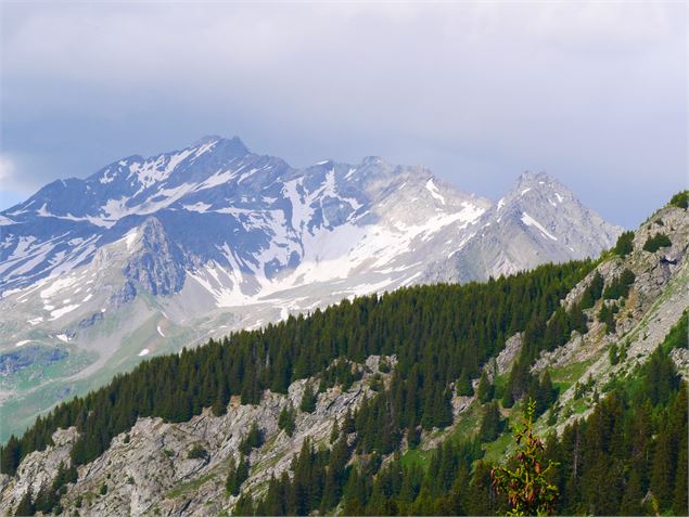 La Tour du Merle (col en aval) - G. Kiener