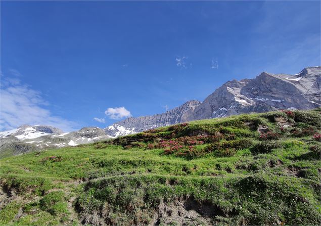 Vers le refuge de la Glière - OTGP