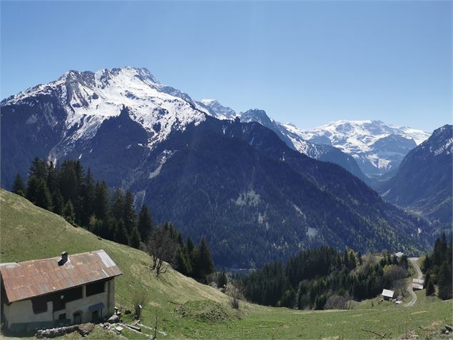 La forêt du Miollet - OT Champagny