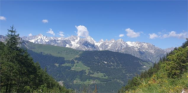 Mont-Brûlé