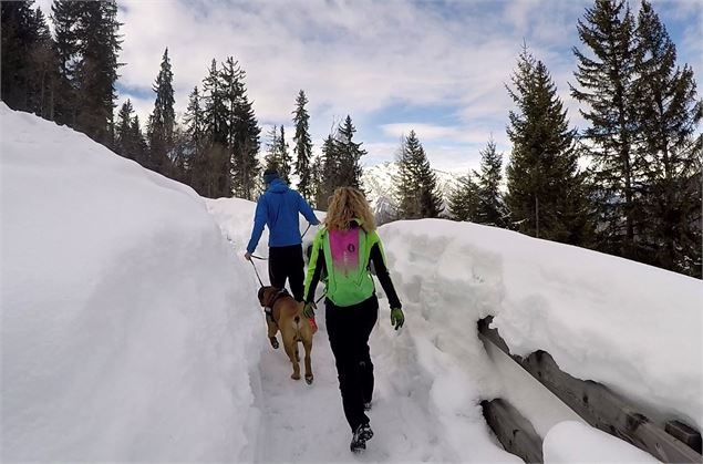 Sentier hivernal