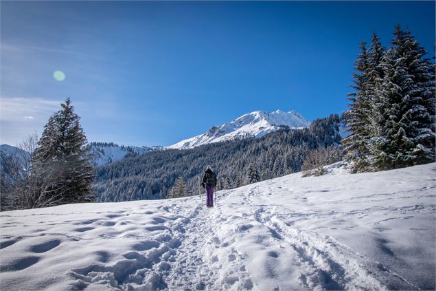 Un itinéraire accessible et sauvage - Les Contamines Tourisme