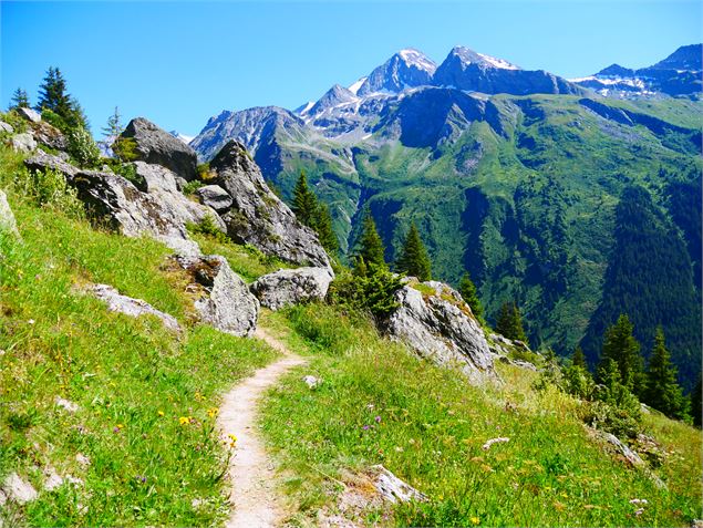 Le sentier de Lécheron - OTGP