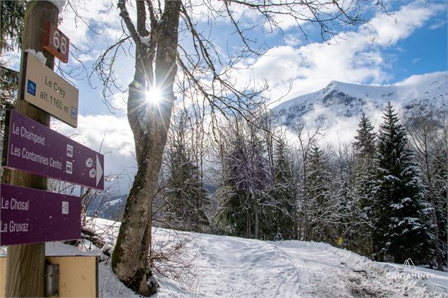 Balade avec vue sur le Mont Joly - Les Contamines Tourisme