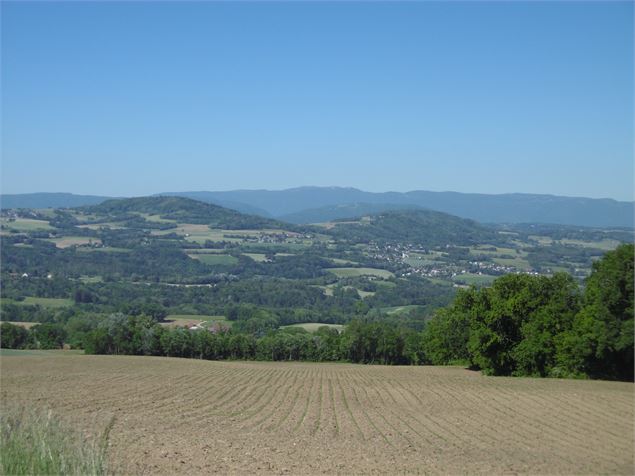 Point de vue Jura depuis route des parents Choisy - ©Alter'Alpa Tourisme