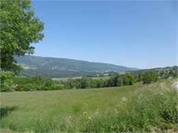 Point de vue - Menthonnex en Bornes - Alter Alpa Tourisme