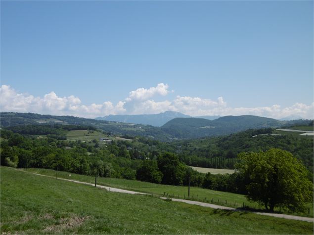 Point de vue vergers Route de Bajole Copponex - ©Alter'Alpa Tourisme