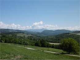 Point de vue vergers Route de Bajole Copponex - ©Alter'Alpa Tourisme