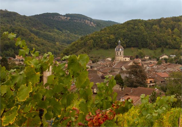 village de Vaux-en-Bugey - Marilou Perino