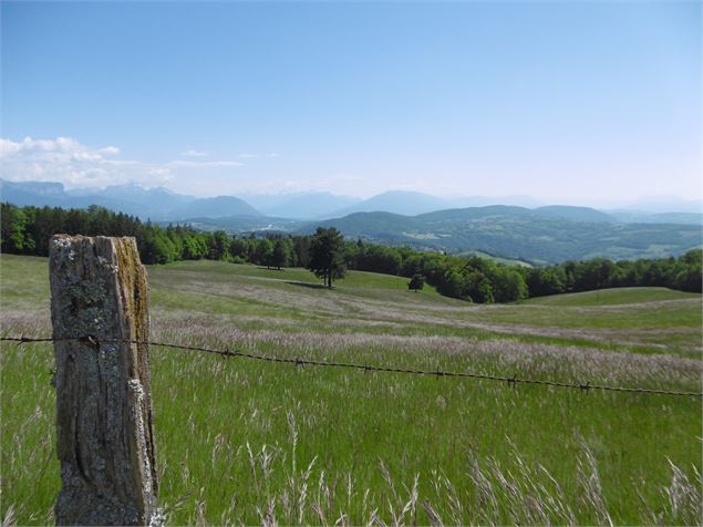 Point de vue - Les Avenières - Alter Alpa Tourisme